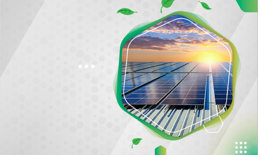 PvBlink - Best Solar Inverter Company